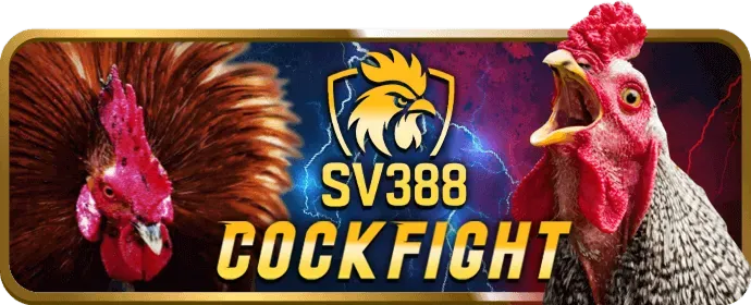 Chương trình hoàn trả hàng ngày tại 333win chính thức