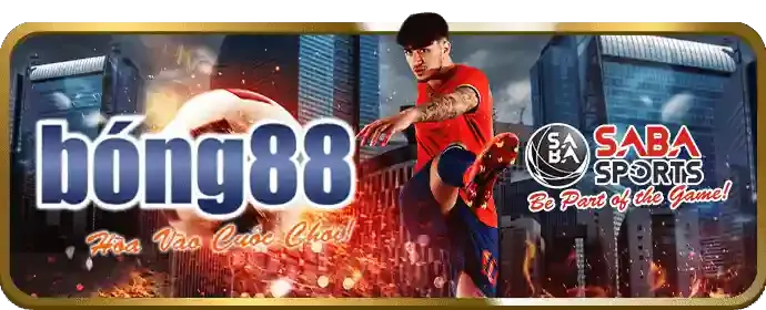 Chính sách sử dụng cookie của 333win chính thức